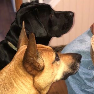 Meet your Posher, Sue